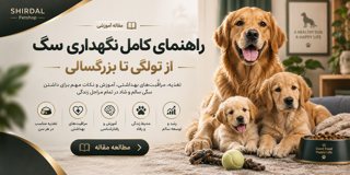 راهنمای کامل نگهداری سگ از تولگی تا بزرگسالی